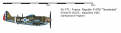 1945 Republic P-47M Thunderbolt FTL